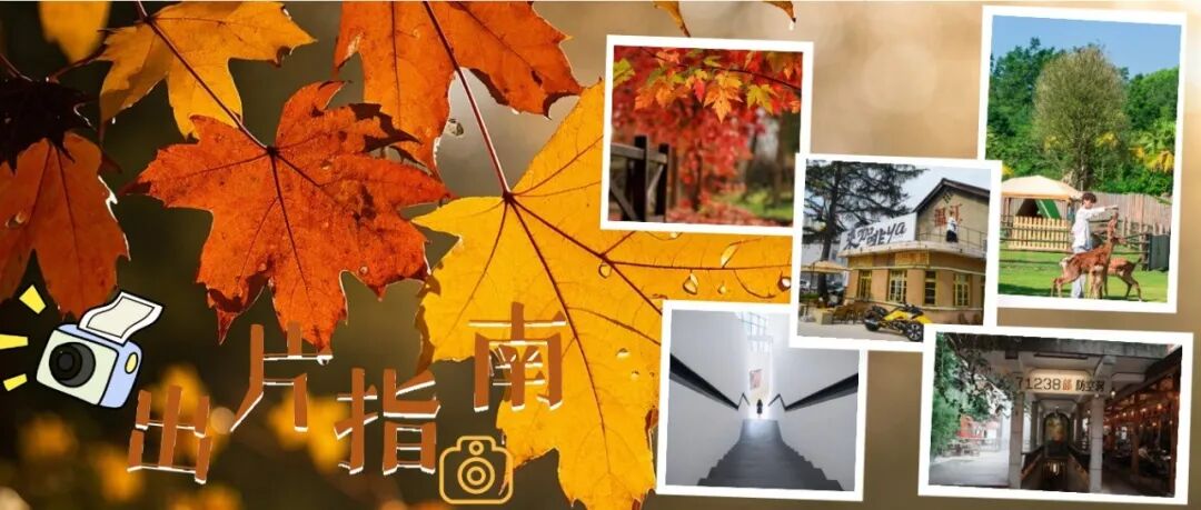 速速Get！温江初冬【出片指南】来啦~