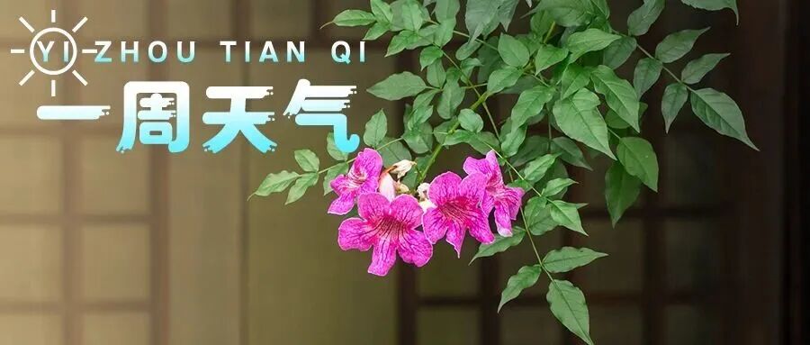 【一周天气】最低4℃🥶🥶该穿秋裤了