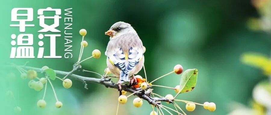早安温江 | 自驾往川西注意！这些高速开启“冬管”