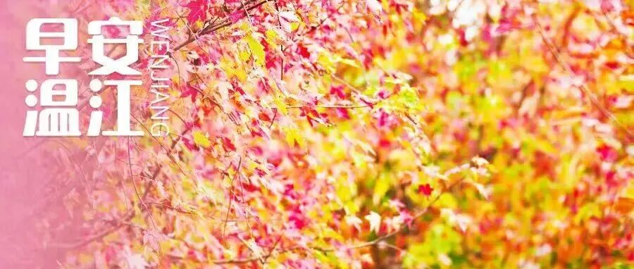 早安温江 | @四川人，这类人员的育儿补贴申请，即将截止→