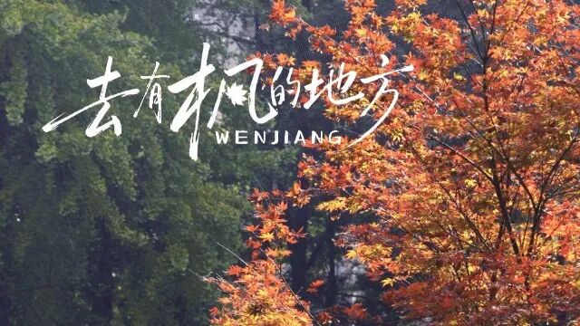 🤗浪漫冬日，去温江这些有“枫”的地方~