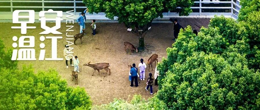 早安温江 | 四川生育假最长延长120日