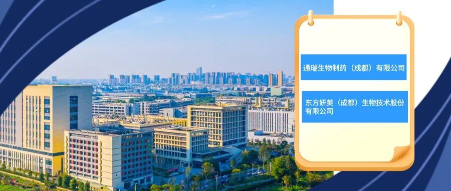 种子独角兽！温江+2