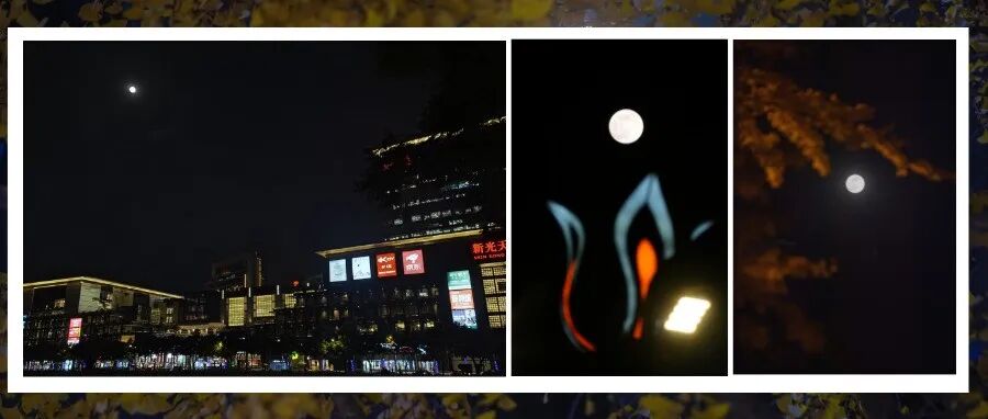 超亮！超圆！“超级月亮”现在就看→