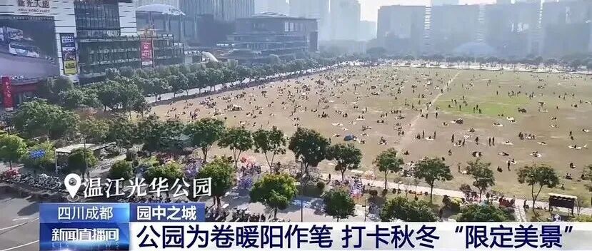 冬日温江有多惬意？央视来告诉你→