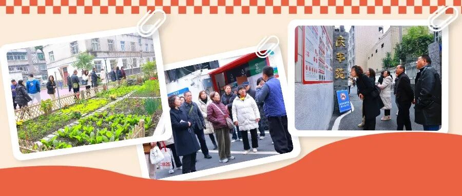 老旧小区“焕新”记！温江“民生实事直通车”又出发了→