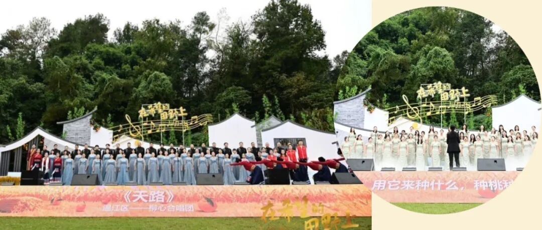 放歌“在希望的田野上”！2025年成都乡村合唱季收官，温江摘冠