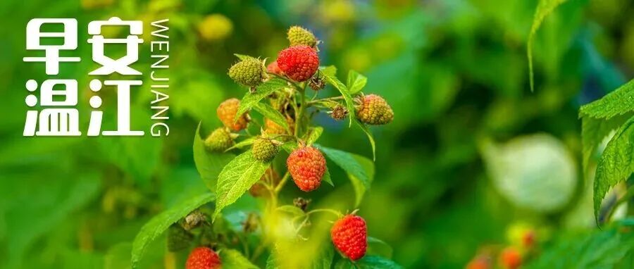 早安温江丨继续免费！成都户籍年满60岁可享