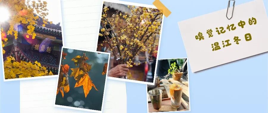 温江冬天的味道，简直不！摆！了！