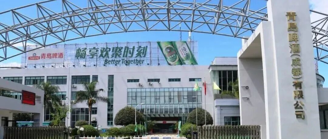 销量增长40%，“温江造”啤酒太火啦