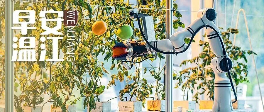 早安温江丨首批名单公布！成都两平台上榜→