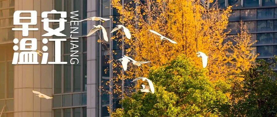 早安温江 | 成都交警最新通告！2026年对这类车采取交管措施