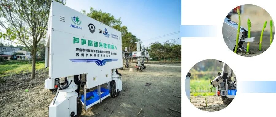 快稳准！“温江造”机器人这样采收芦笋→