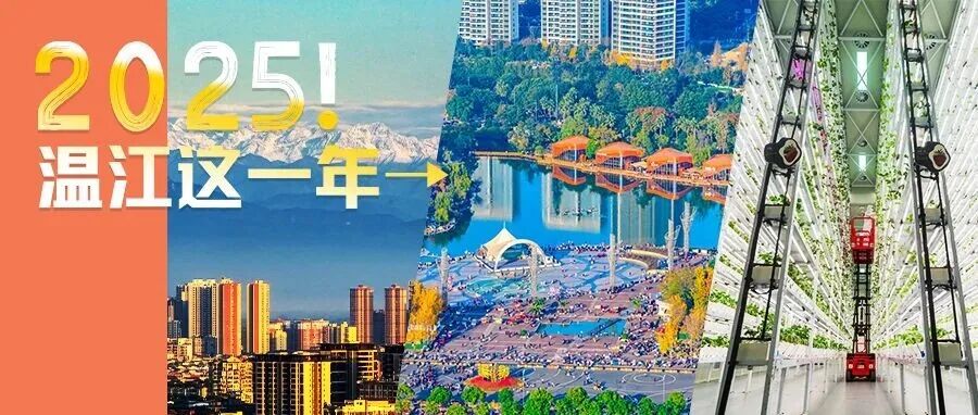 2025，我们有这么多共同的记忆→