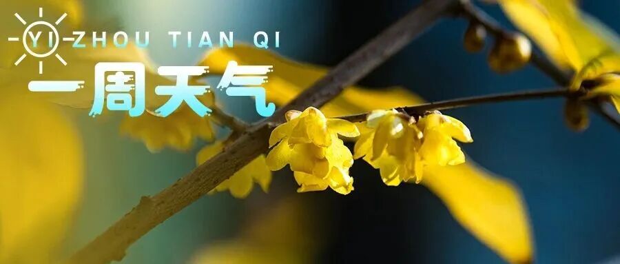 【一周天气】冻手冻脚🥶最低2℃，裹紧羽绒服~