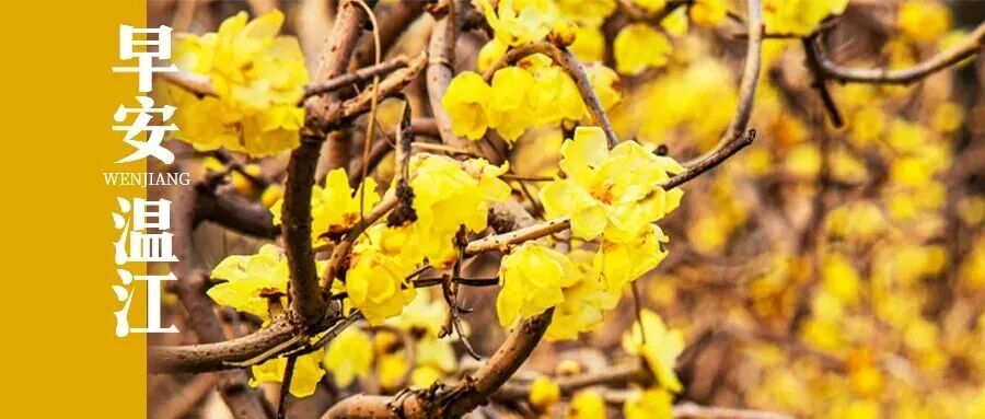 早安温江 | 今早10点！四川100000张景区门票开抢