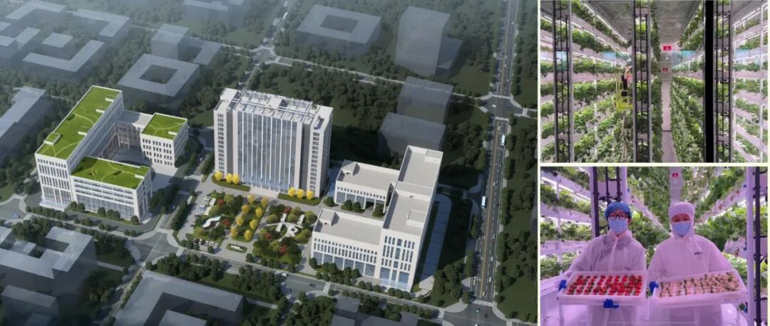 紧抓快干、提速增效！温江企业、项目奋力冲刺“开门红”