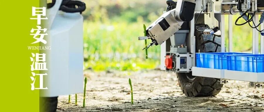 早安温江丨市教育局最新发布！今年寒暑假时间→