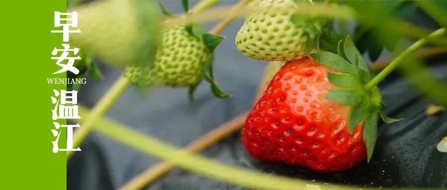 早安温江丨成都这座高铁站，预计今年建成！