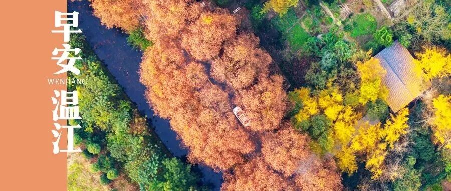 早安温江 | 成都直飞！多条国际航线上新