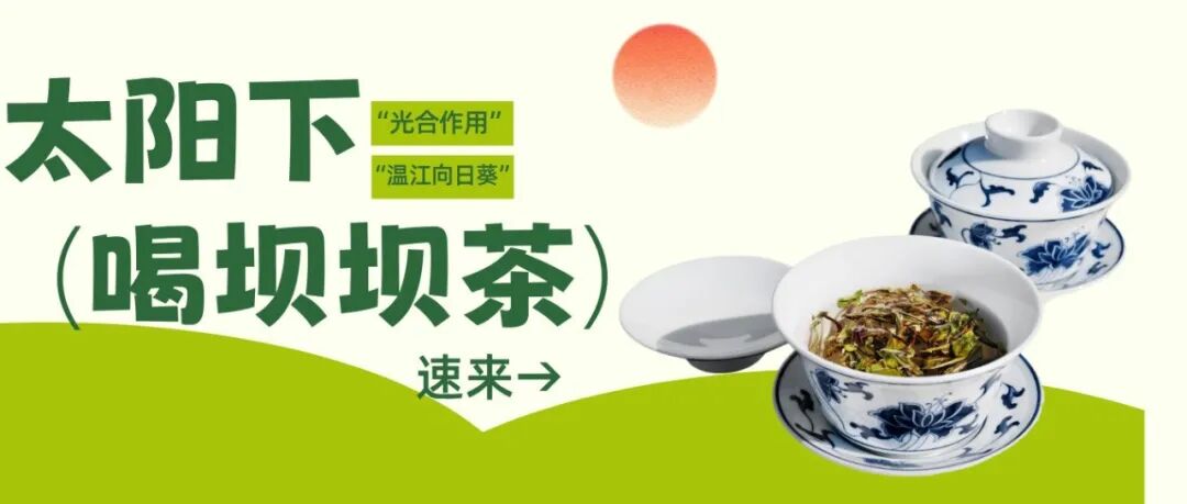 冬季的“光合作用”，就在温江这些坝坝茶里→