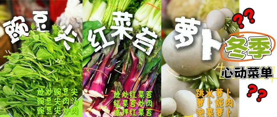 🥬比肉还香！冬天温江人最爱吃的TA来了→