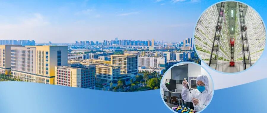 交出新答卷，启航新征程！温江加快建设西部一流产业高地