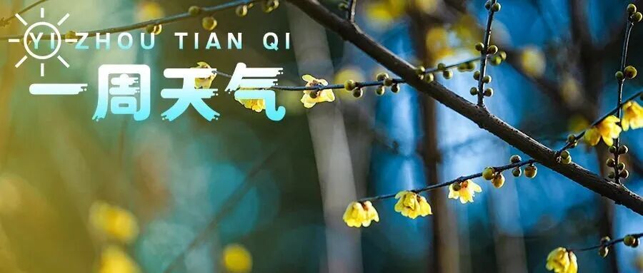 【一周天气】即将升温，最高17℃→