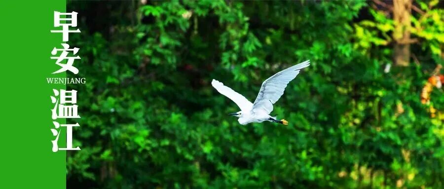 早安温江丨人民币现金收付新规！2月1日起实施