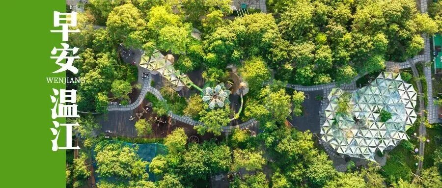 早安温江 | 春节期间，成都拟首推部分婚姻登记处延时服务