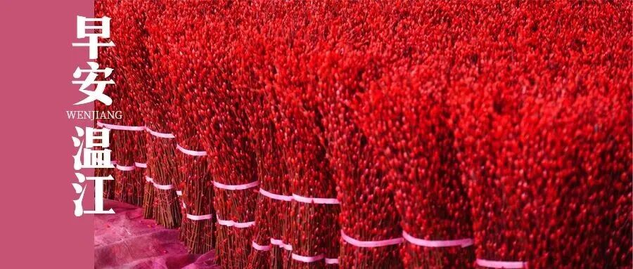 早安温江 | 事关寒假，四川省教育厅最新提醒！