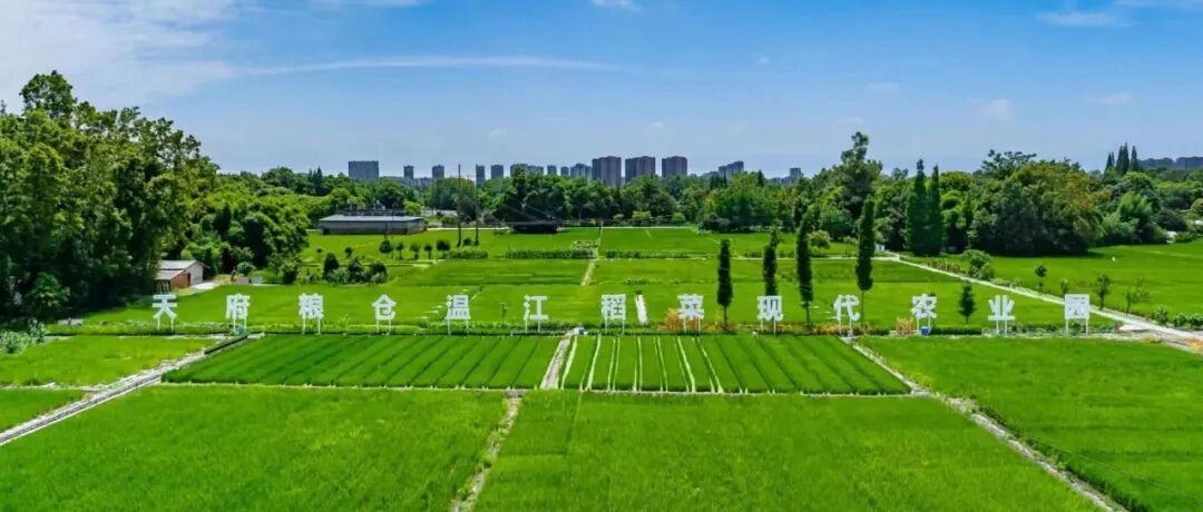 省级五星级现代农业园区，温江+1