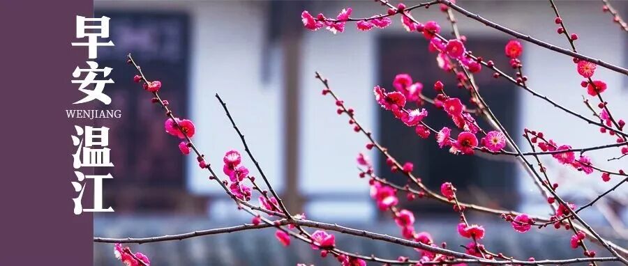 早安温江丨有奖发票试点城市公示！成都入选