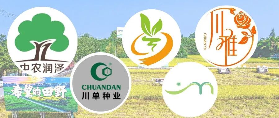 市级重点龙头企业！温江+5