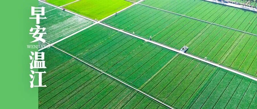 早安温江 | 连休9天！高速免费