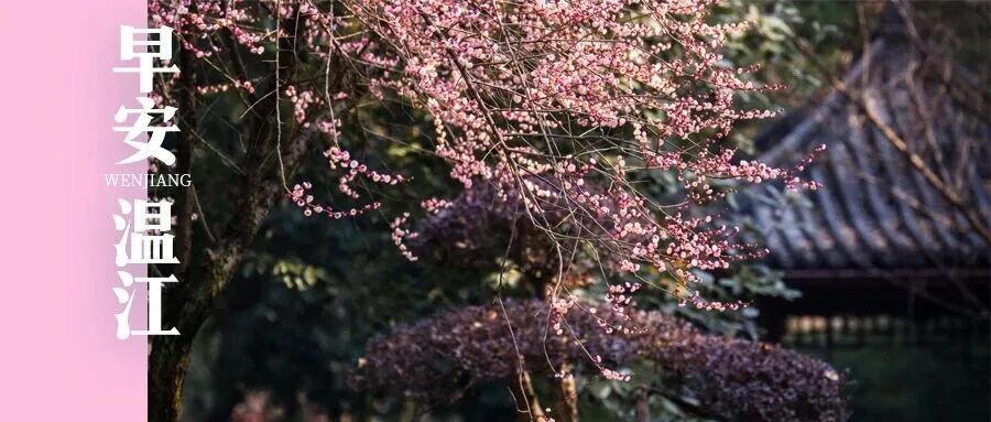 早安温江 | 川AG注意！成雅高速通行有变