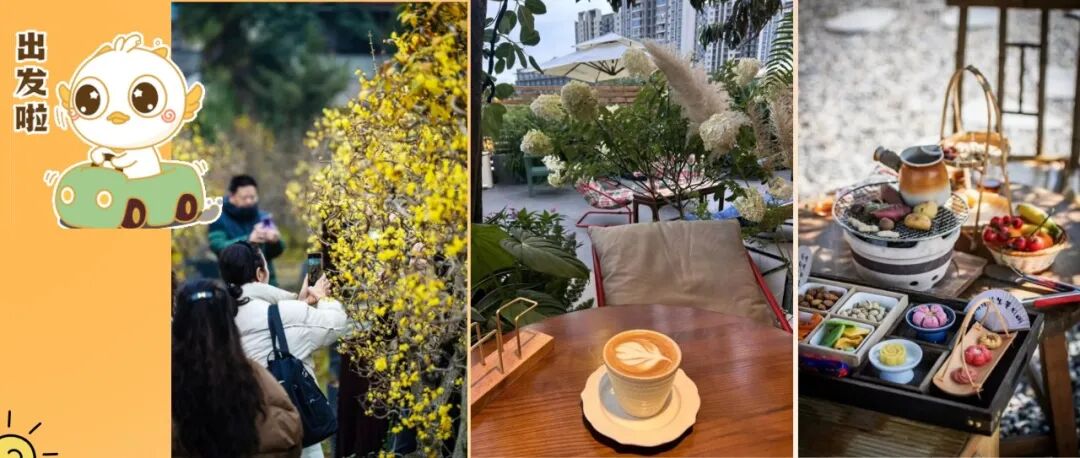 马上出发！来温江开启冬日寻“香”之旅～