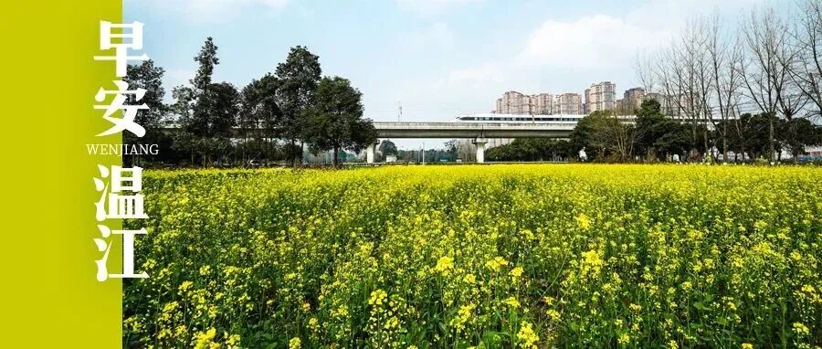 早安温江 | 事关既有住宅自主增设电梯用电，成都公开征求意见