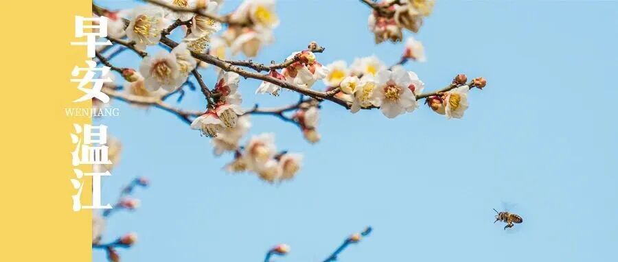 早安温江 | 9天超长假期！成都，热门目的地