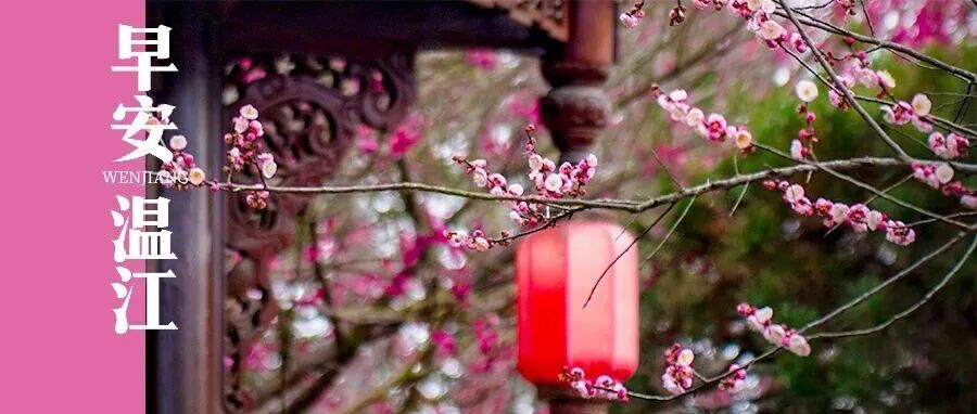 早安温江 | 川AG大军注意！这三天将达到峰值