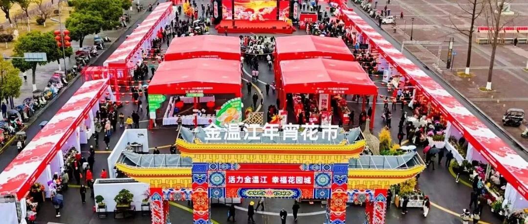 今日开市！来金温江年宵花市逛花街、买年货、品年味~