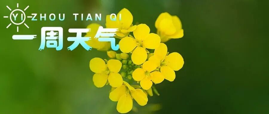 【一周天气】阳光将至，气温明显回升