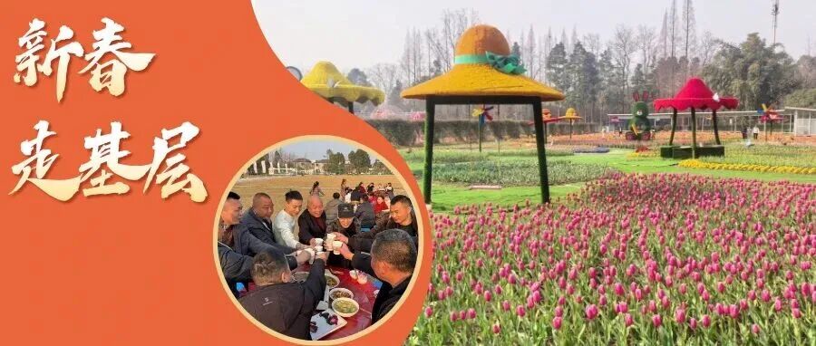 从一顿饭到一场展！温江鲁家滩的“共富”年味正浓