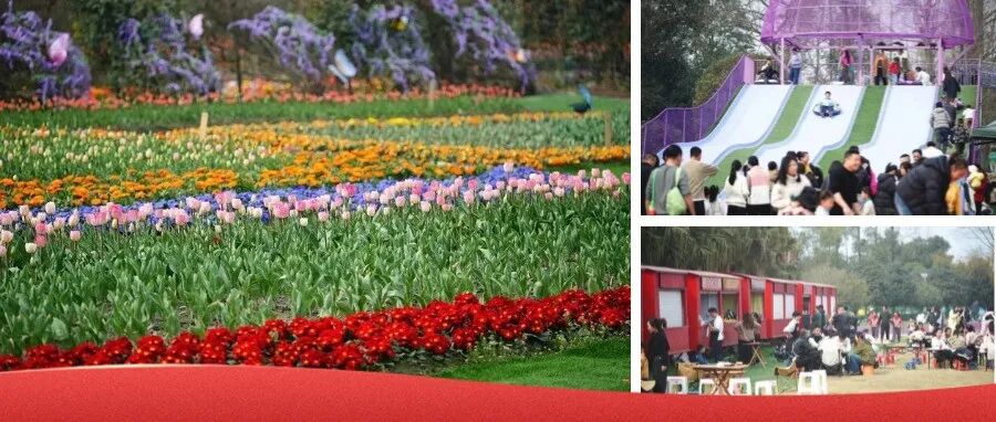 花海、草坪、音乐、美食！温江这个宝藏地，一天根本玩不够