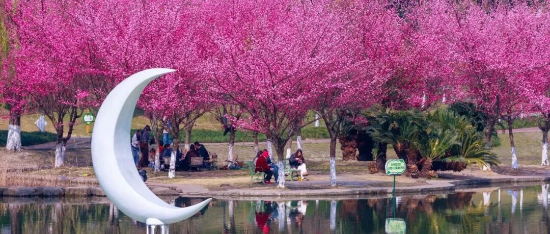 春节不无聊！三条线路游温江，过个有温度的假期~