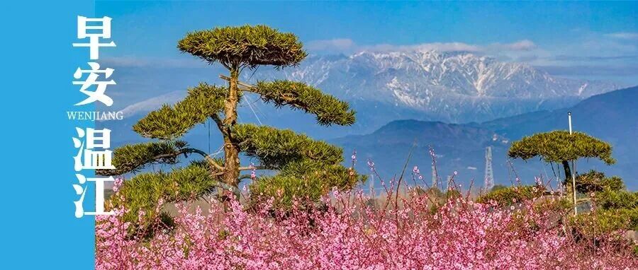 早安温江 | 持续至3月3日，成都不限行！