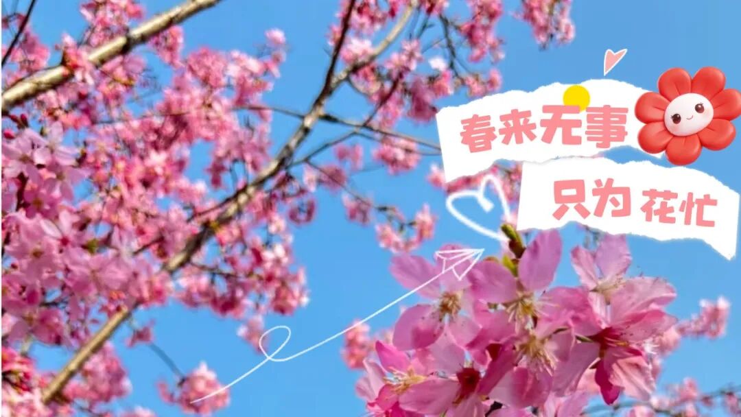 𝙝𝙚𝙡𝙡𝙤 🤳🧡温江春日限定浪漫已送达~