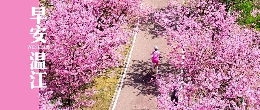 早安温江 | 成都，领跑“成长型”赛事名城！
