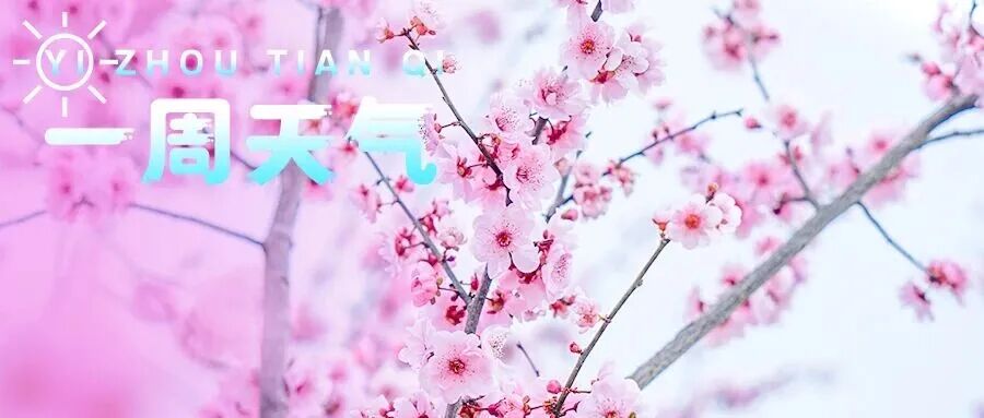 【一周天气】厚外套别忙收！早晚温差大还有持续小雨～