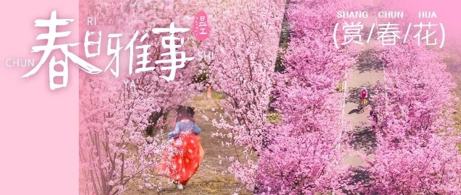 人间三月！与繁花共赴春日雅事~
